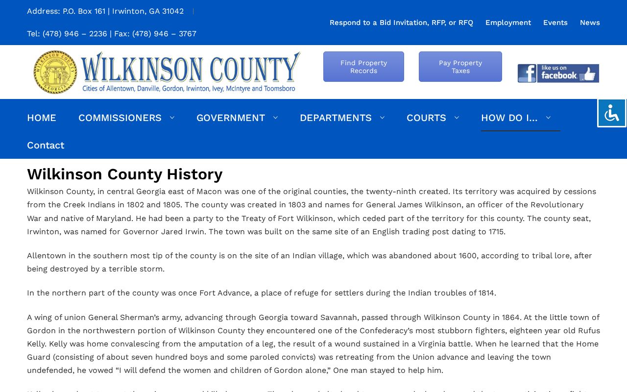 Wilkinson County history page with Irwinton and county context